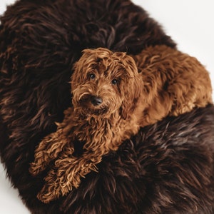 Chocolate Brown Oval Luxurious Natural Sheepskin Pet bed! Sheepskin dog bed cat bed, minimalistic! Pet furniture pet couch! Choose your size