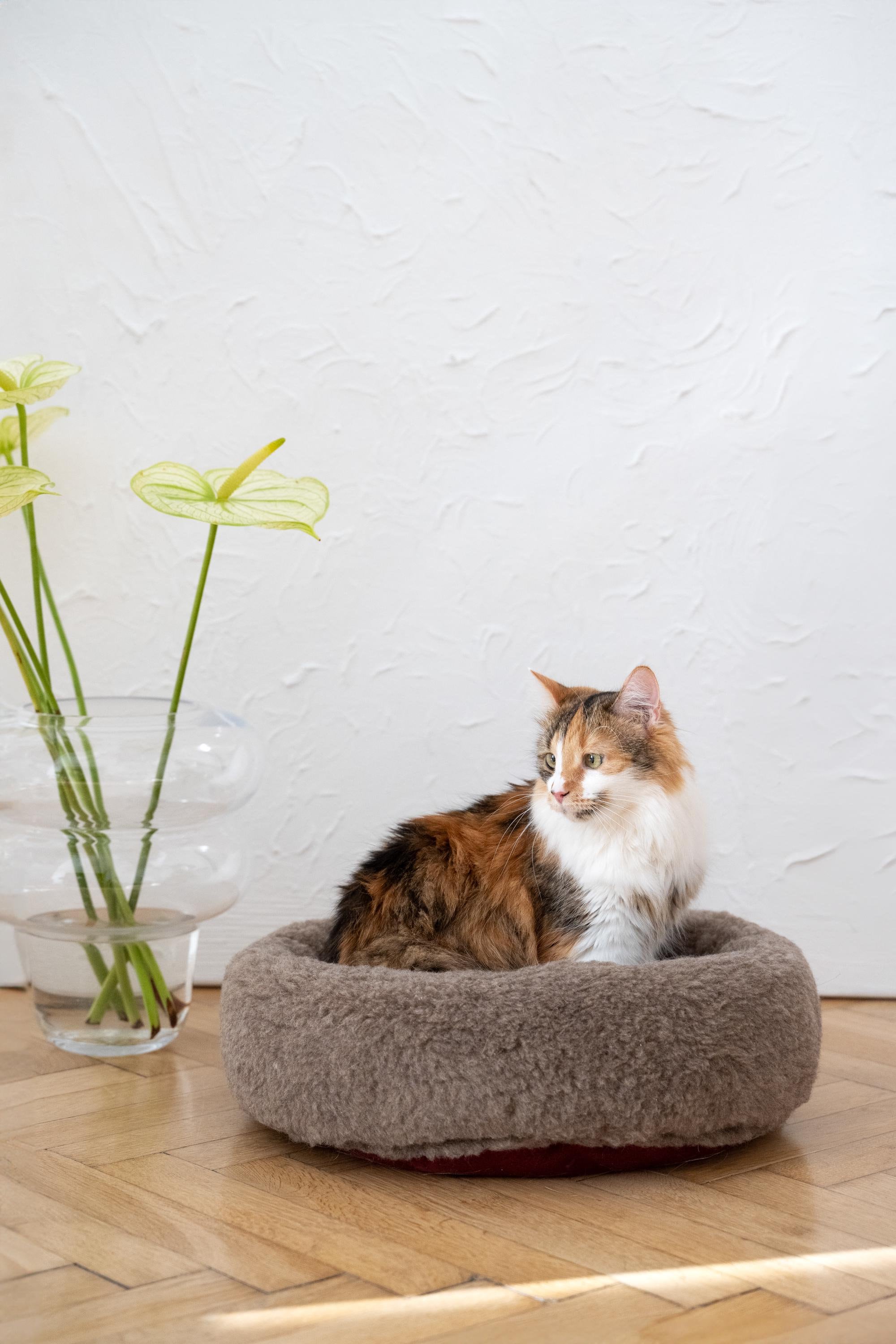 Handmade Wool Pet Bed – Cozy Round Dog Bed or Cat Bed | Eco-Friendly Wool Pet Furniture | Removable Inside for Easy Cleaning | Custom Sizes