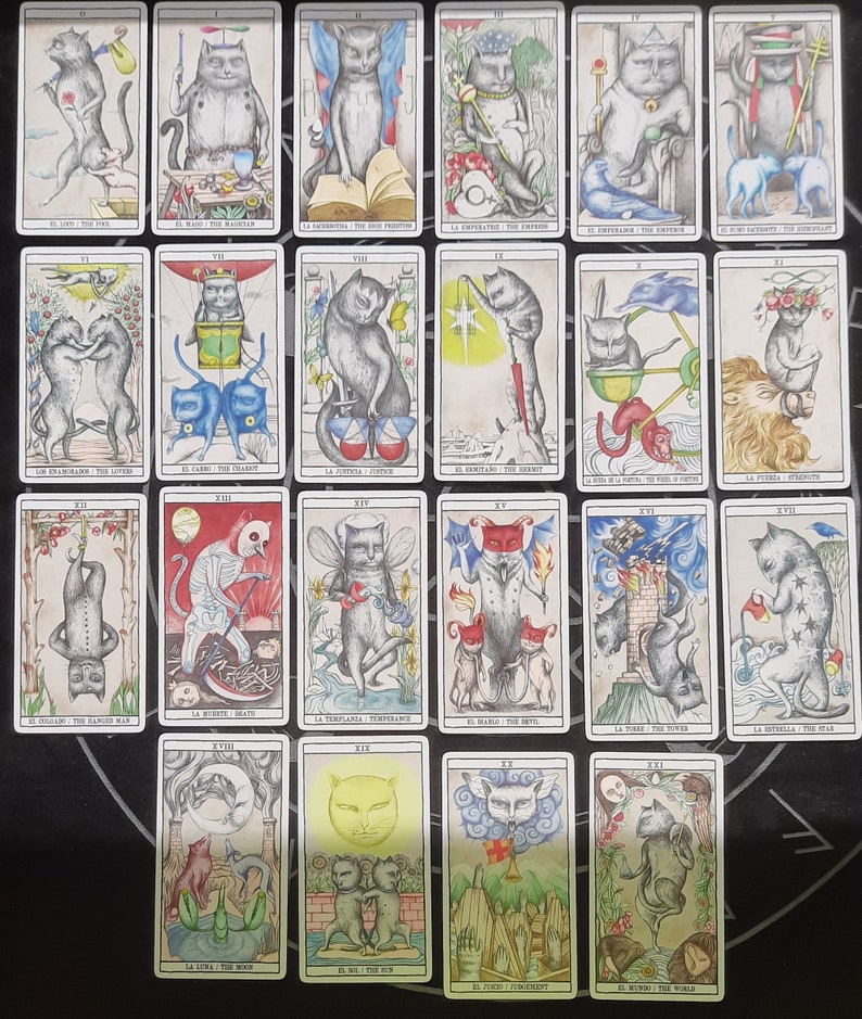 Cat Tarot Deck. Fournier Tarot 78 Cards. Колода Thiago Corrêa Tarot Cat. Карты Таро с кошками.