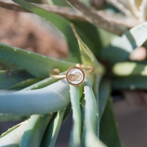 May include: A gold ring with a clear round stone set in the center. The stone has two small gold circles inside. The ring is resting on a green plant.