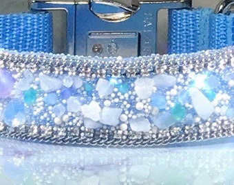 May include: A light blue dog collar with a silver chain and a clear resin inlay filled with white, blue, and green glitter and small stones.