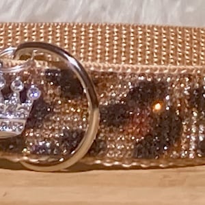Leopard Rhinestone Dog Collar,Sparkly Boho Fun, Adjustable, Modern Metal Buckle, 1/2&quot; to 1.5&quot; Wide Glam Classy Collar, Furries!