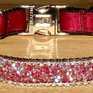 Ruby Radiant Aurora Borealis Crystal Rhinestone Dog or Cat Collar 3/4” Metal Buckle Summer Posh Quality Unique