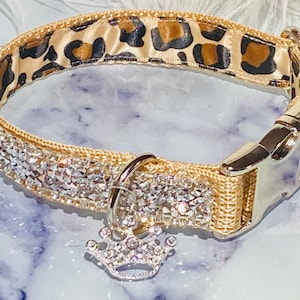Leopard & Rhinestone Glam Sparkle Collar, 3/4", Seizoenskleuren met een Bougie Edge, Verkrijgbaar in alle maten, stuur me een bericht voor meer informatie!