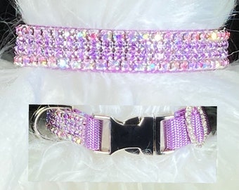 May include: A purple dog collar with a silver buckle and a row of iridescent rhinestones.