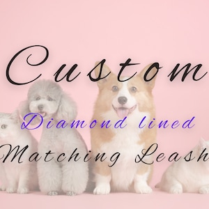 Custom Diamond & Satin Lined Rhinestone Leash, Choice of Color and Lengths, 3/4" Wide Elegant Decadent Quality Dazzling Dog or Cat Glam!