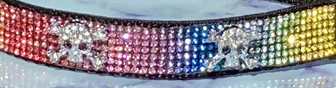 1PC Mariage Ceinture Satin Fleur Strass Femme Robe Ruban Ceinture Écharpe