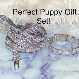 Wild One Rhinestone Sparkle Glam Gift Set for New Puppy, Cat or Tea Cup, 1/2" Wide Leash & Collar,  Dainty Dazzling Treasure!