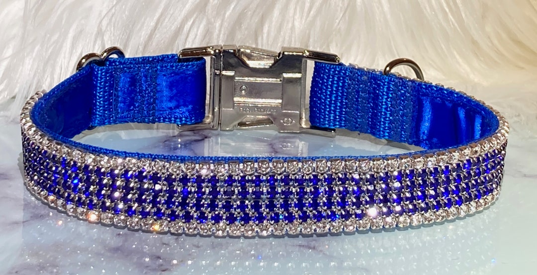 Royal Blue Real Rhinestone Dog Collar, Sparkling Quality Treasure, 1