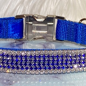Royal Blue Real Rhinestone Dog Collar, Sparkling Quality Treasure, 1&quot; Wide Crystal Boy Dog Glam, Diamanté  for Dogs!