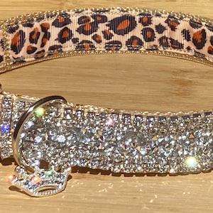 Rhinestone  & Leopard Dog Collar, Four Sparkling Rows of Diamonds, Modern Metal Buckle, 1&quot; wide, Quality Elegant Pet Glam