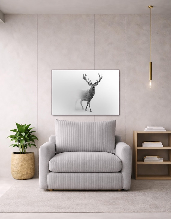 Deer, Black and White, Plexiglass, metal & wood print - Modern Home Decor