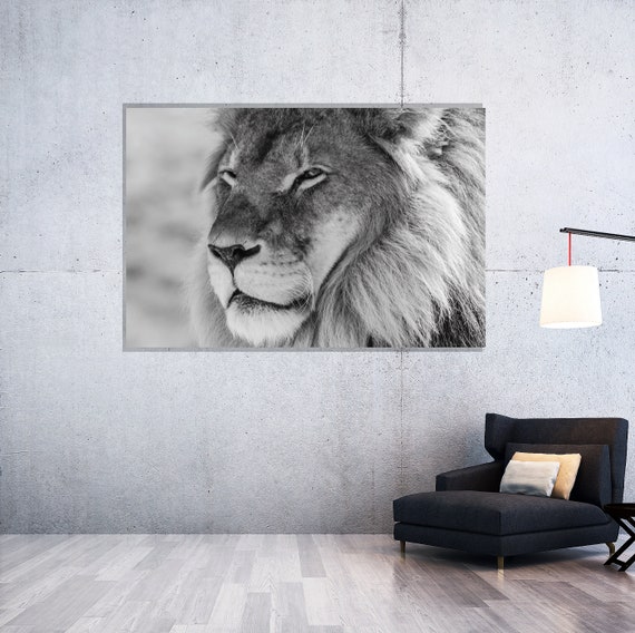 Lion Wall Decor, Print on Plexiglass, Black and White photography, Oversized Art, Large Art, Acrylic Print