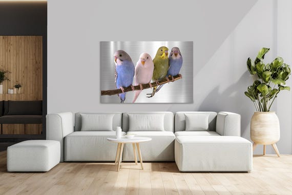 Colorful Budgies Metal Print: Modern Aviary Wall Art