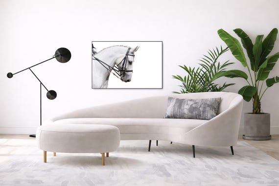 Black & White Dressage horse Wall Art (Available in Plexiglass, Metal and Birchwood)