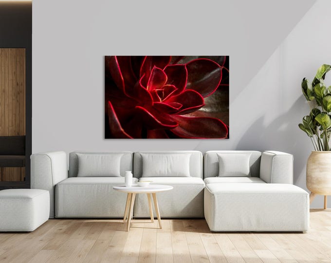 Red Flower, plexiglass and metal print - Modern Home Decor Unique Wall Art