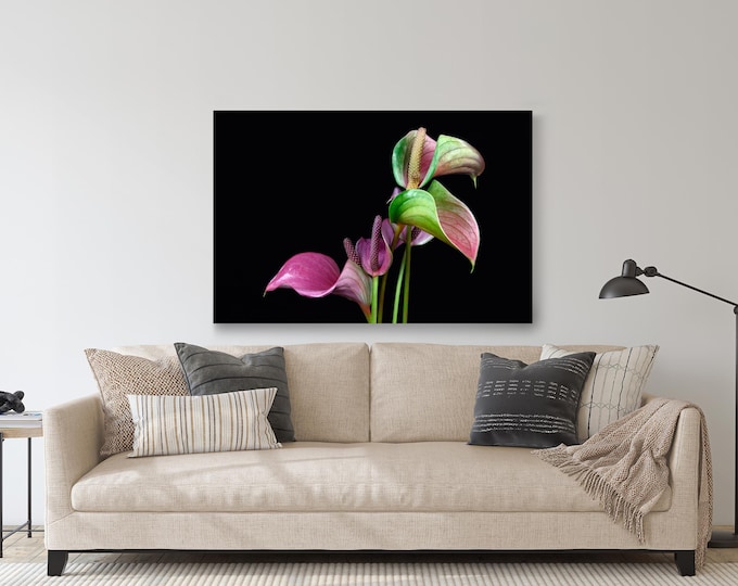 Anthurium Flamingo Flower Print: Plexiglass & Metal Wall Art