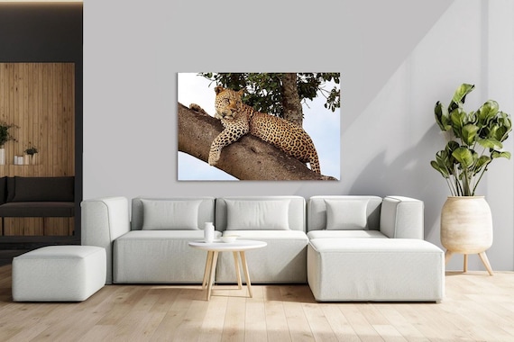 Leopard sitting on a tree - Plexiglass, metal & wood print - Modern Home Decor