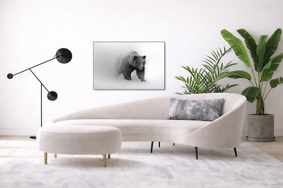 Black and White Grizzly Bear: Nature Wildlife Art (Available in Plexiglass, Metal & Birch wood)