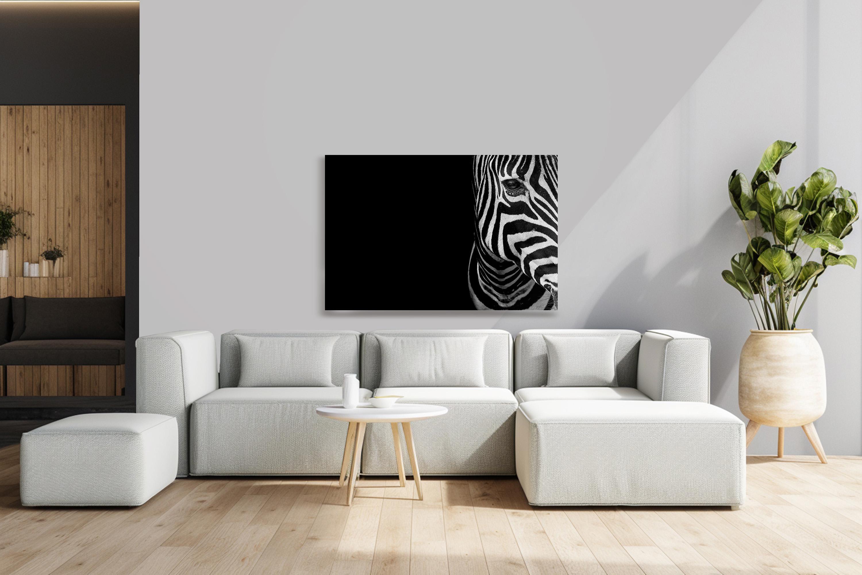 Zebra Wall Art: Minimalist Black and White (Plexiglass, Metal, Birchwood options)