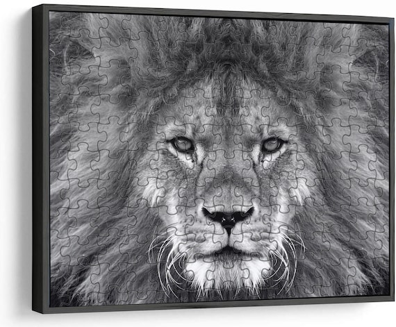 Frame for Puzzles, Puzzle Frame, Comes with Plexiglass and Back Support, Metal Aluminum Frame. Custom Sizes Available!