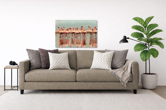 African Flamingo, reflection on Walvis Bay: Wildlife Wall art