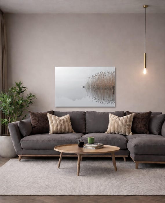 Duck on a misty lake Wall Art (Available in Plexiglass & Metal)