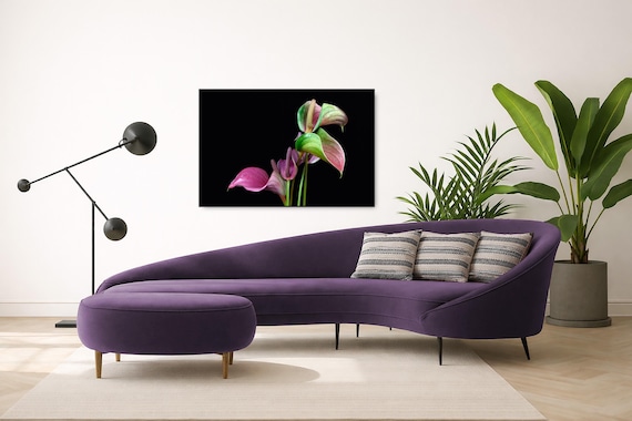 Anthurium Floral Art: Multicolor Flamingo Flowers (Available in Plexiglass & Metal)