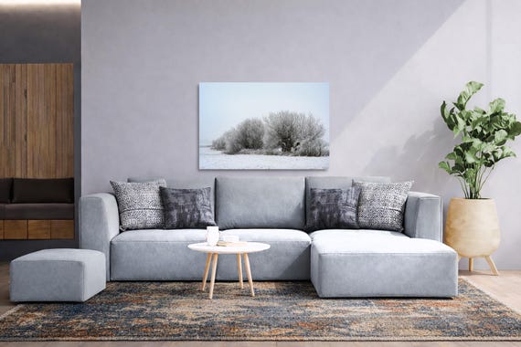 Winter Tree Wall Art: Pollard Willows (Available in Plexiglass & Metal)
