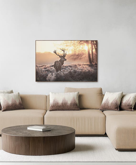 Red Deer Wall Art - Calm Morning light (Available in Plexiglass, Metal & Birch wood)