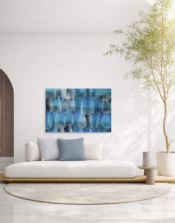 Blue Morpho Butterfly Wing Wall Art - Abstract (Available in Plexiglass & Metal)
