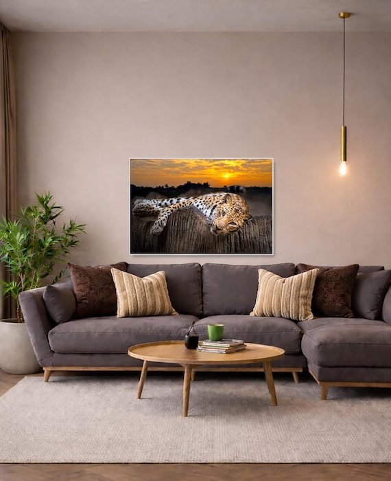 Leopard Photography: Wildlife Wall Art - (Available in Plexiglass, Metal & Birch wood)