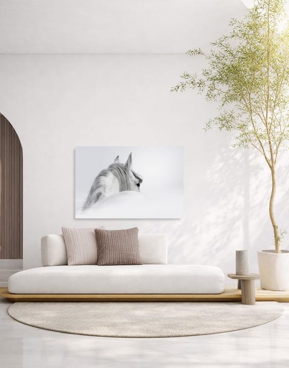 Andalusian Horse Wall Art, Misty Dawn (Available in Birch Wood, Metal, Plexiglass Options)