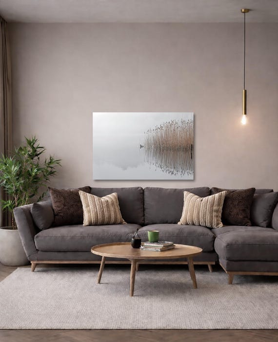 Duck on a misty lake Wall Art (Available in Plexiglass & Metal)