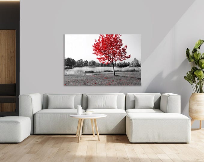 Red Tree Black and White Photography: Modern Plexiglass Wall Art