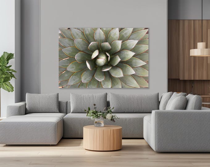 Cactus Plant in plexiglass and metal print - Modern Home Decor Unique Wall Art