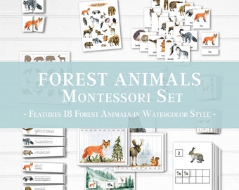 Montessori Forest Animals, Homeschool Printable Activities, Preschool Learning, Numbers, Counting, Handwriting, Reading, Kindergarten