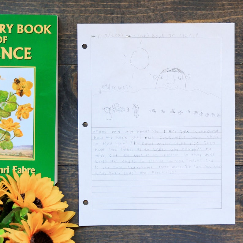 May include: A handwritten page from a child's notebook with a drawing of a sun, a bush, and a cow. The text on the page reads "Date 11/19/2023 Topic: Toy book of science? Elder bush from my last narration I left you wondering how the neck ones have cows. Well, you have a host to find out! The cows drew. And likely they have two teats to an udder. Many especially for milk, and are here in the same. This, and words are best to explain why you don't forget but I'd assume there was to have said what these could do. Nice tree."