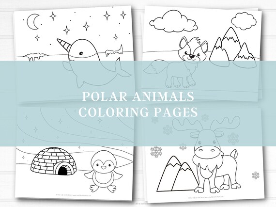Les animaux polaires, activités pour enfants.