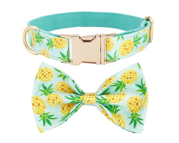 pineapple dog leash