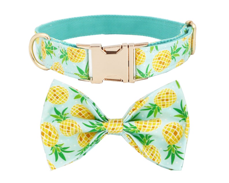 Summer Pineapple Dog Collar Bow Tie Leash Dog Collar Bowtie Etsy