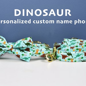 Custom Dinosaur Dog Collar Bowtie Leash, Dinosaur Dog Collar Accessories, Personality Carving dog name ID, Dog gift