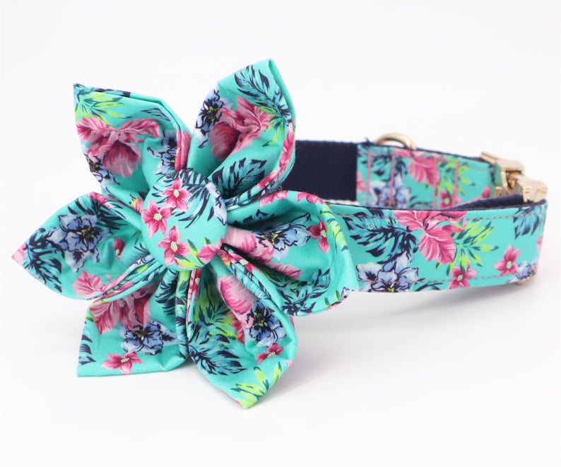Floral Girl Dog Collar Flower Dog Collar Flower Collar Etsy