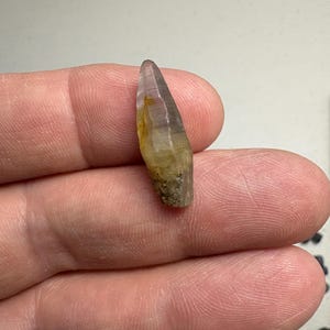 May include: A small, elongated, translucent crystal with a pointed tip. The stone features a colour gradient transitioning from a pale, clear purple at the top to a warm, earthy yellow and brown hue toward the base, which has a rough, textured surface.