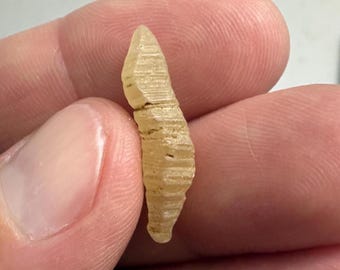 Natural Yellow Sapphire Crystal 7.72ct