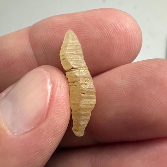 Natural Yellow Sapphire Crystal 7.72ct
