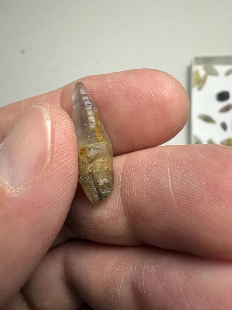 Natural Sapphire Crystal 11.52ct image 3