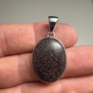 May include: Oval pendant with a dark, textured stone set in a silver-colored metal. The stone has a unique pattern of dark brown and gray, resembling a fossil. The pendant has a simple, elegant design.