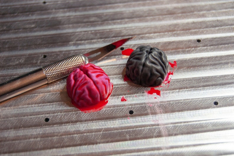May include: Two realistic brain models, one pink and one gray, are on a metal surface with red liquid around them. A small silver tool with a sharp blade is lying on the surface.