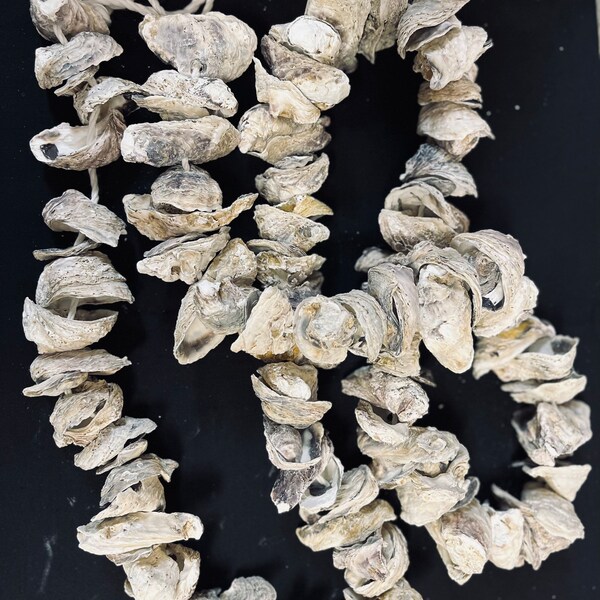 6’ Oyster garland